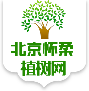 京郊怀柔植树网（怀柔专业植树基地，电话：13911037452）
