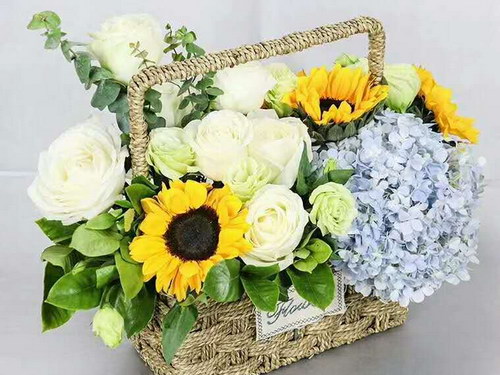 （植树+手工DIY）一日 方案 188元/人